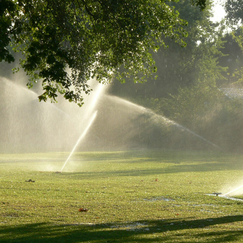 Sprinklers watering tress and lawn
