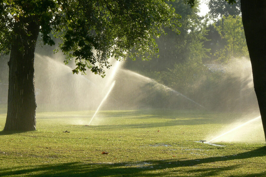 Sprinklers watering tress and lawn